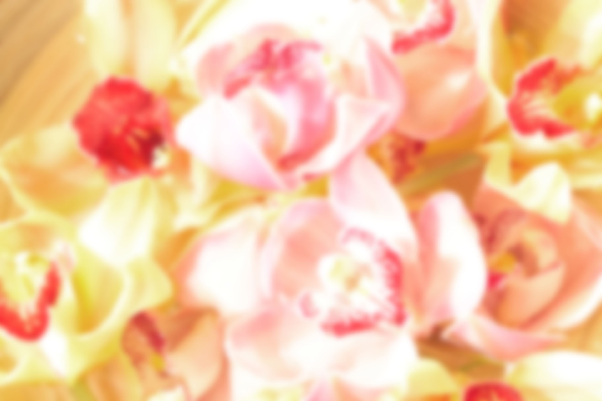 Der Blumenladen