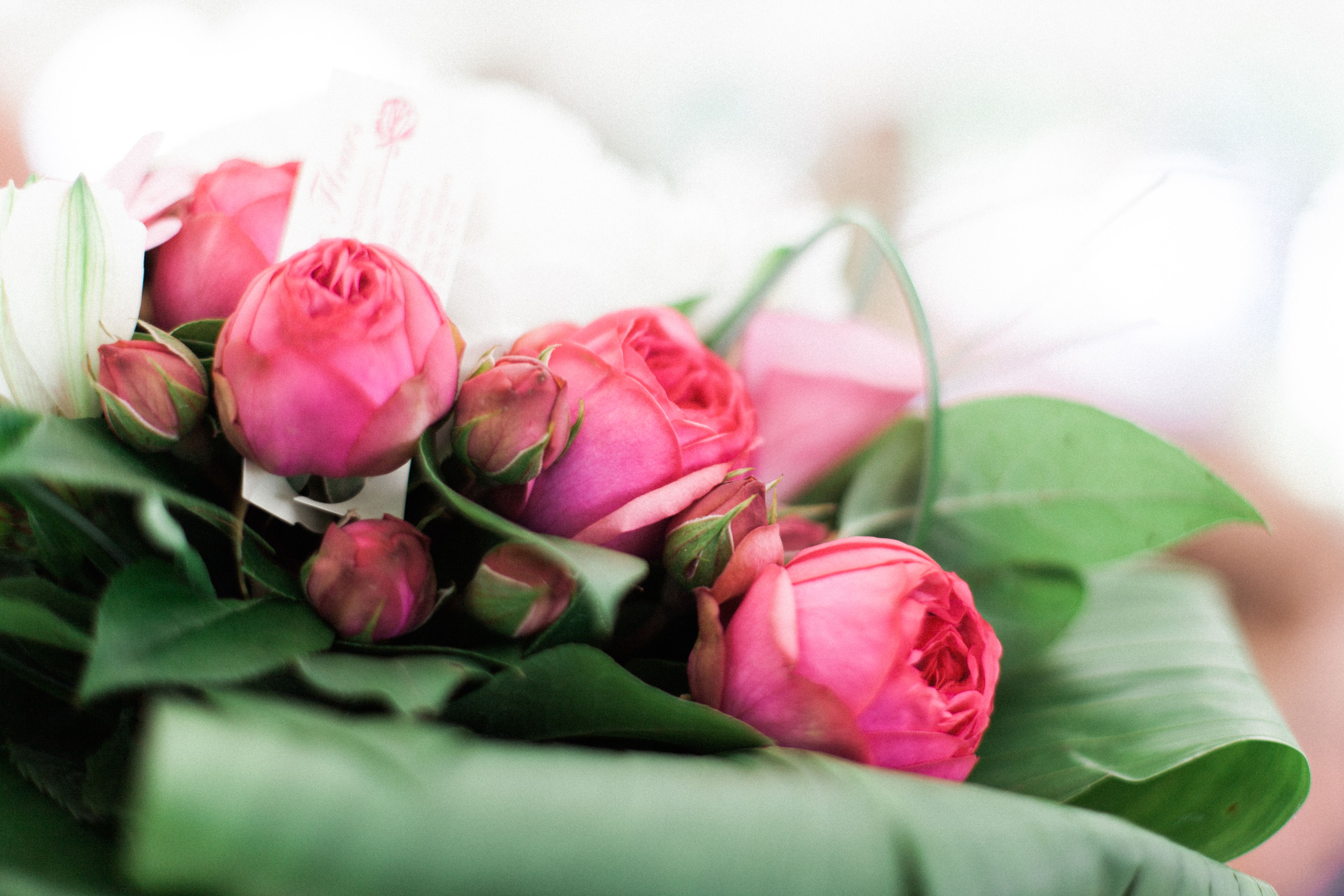 74d7e755 pexels aurelien 12911 62649